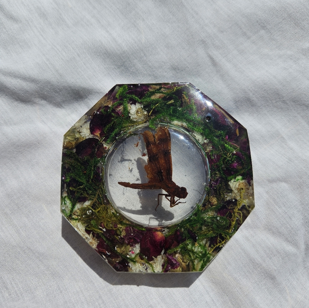 Real dragonfly dish/ash tray! - Picture 2 of 2